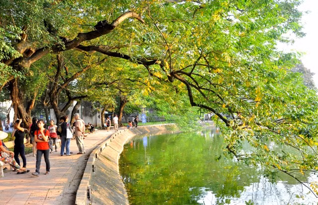 Nắng chiều Thu khiến cảnh vật như bừng lên một màu vàng quyến rũ và thơ mộng