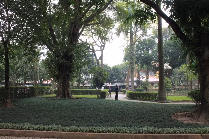 Một góc vườn trong nhà Đại tướng