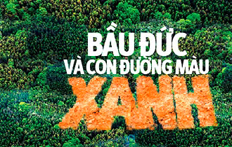 Tính đến cuối năm 2012, HAGL đã trồng được 43.500 ha cao su trong kế hoạch 51.000 ha. Tính đến cuối năm 2012, HAGL đã trồng được 43.500 ha cao su trong kế hoạch 51.000 ha.