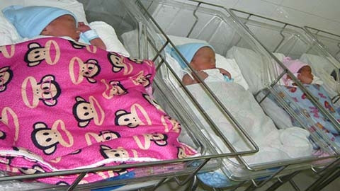 3 bé trong ca sinh 5 đã khỏe, được nằm chung phòng với các bé sơ sinh khác ở khoa Dưỡng nhi. Ảnh : Thanh Huyền. 3 bé trong ca sinh 5 đã khỏe, được nằm chung phòng với các bé sơ sinh khác ở khoa Dưỡng nhi. Ảnh : Thanh Huyền.