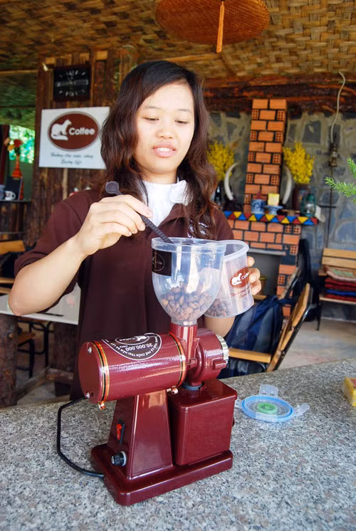 Xay cà phê chồn…