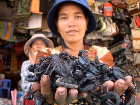 Chị Năm, ở Tịnh Biên-An Giang, đang bắt hàng chục con bọ cạp trên hai bàn tay trần mà không hề sợ bi loài côn trùng dữ này tấn công, nơi chị bán hàng là chợ cửa khẩu Quốc tế Tịnh Biên – An Giang. Chị Năm, ở Tịnh Biên-An Giang, đang bắt hàng chục con bọ cạp trên hai bàn tay trần mà không hề sợ bi loài côn trùng dữ này tấn công, nơi chị bán hàng là chợ cửa khẩu Quốc tế Tịnh Biên – An Giang.