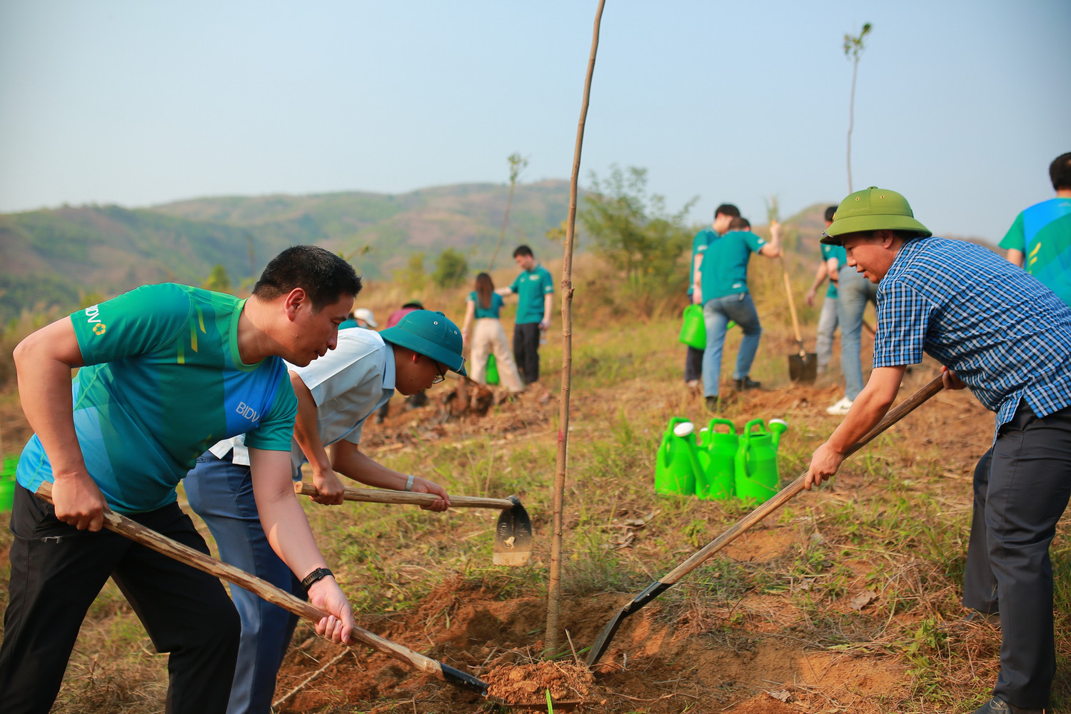 “Trồng 1 triệu cây xanh” cũng là một trong ba chương trình an sinh xã hội trọng điểm “Cho cuộc sống Xanh” của BIDV