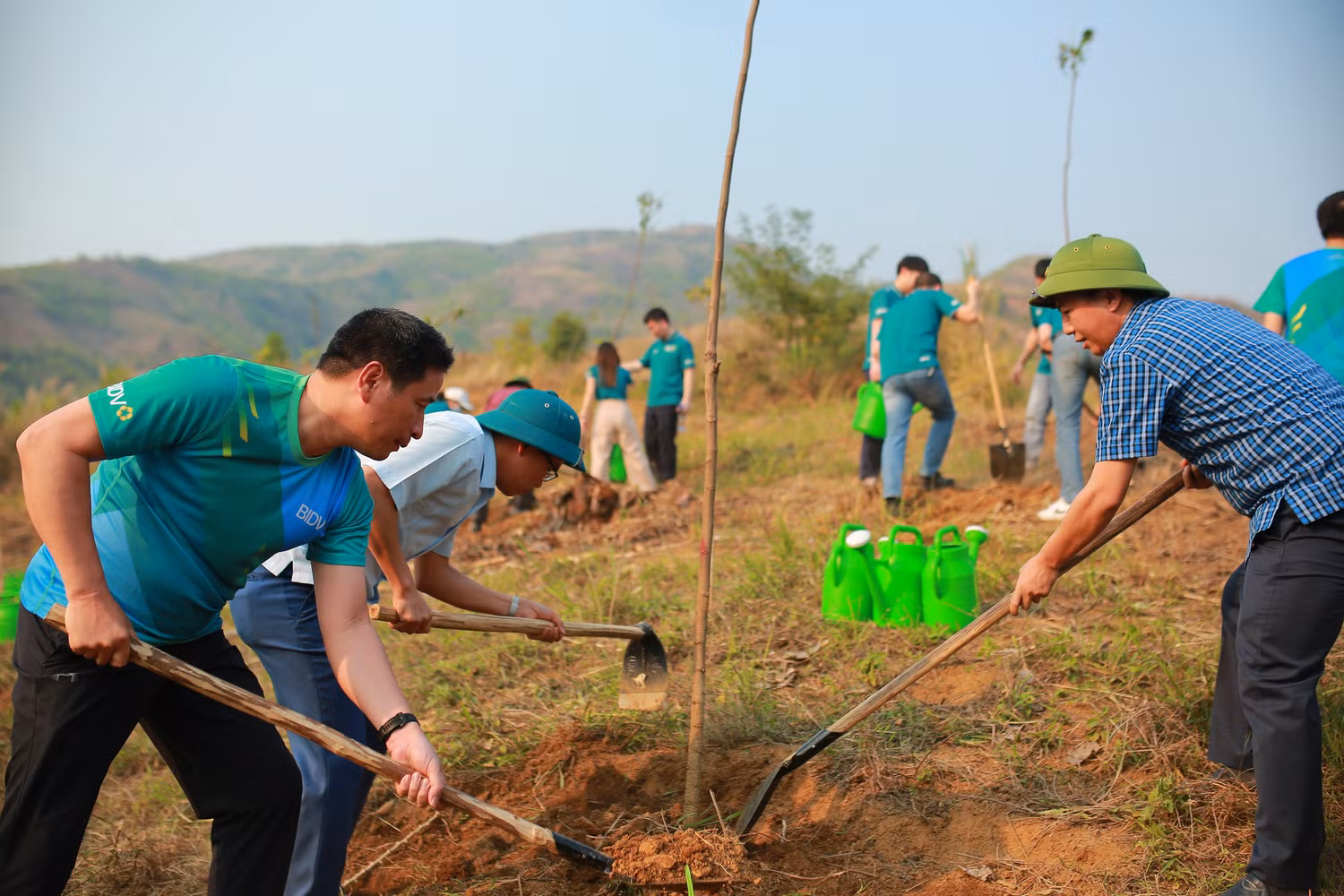 “Trồng 1 triệu cây xanh” cũng là một trong ba chương trình an sinh xã hội trọng điểm “Cho cuộc sống Xanh” của BIDV “Trồng 1 triệu cây xanh” cũng là một trong ba chương trình an sinh xã hội trọng điểm “Cho cuộc sống Xanh” của BIDV