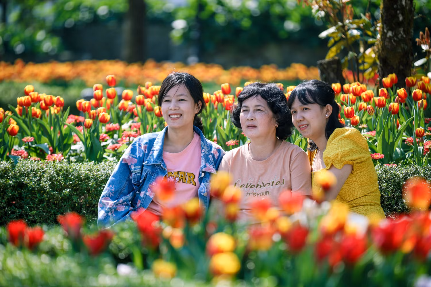 Sun World Ba Na Hills sẽ hóa thiên đường hoa dịp Tết Quý Mão