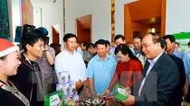 Thủ tướng Nguyễn Xuân Phúc thăm gian hàng trưng bày dược liệu. ảnh: TTXVN. Thủ tướng Nguyễn Xuân Phúc thăm gian hàng trưng bày dược liệu. ảnh: TTXVN.