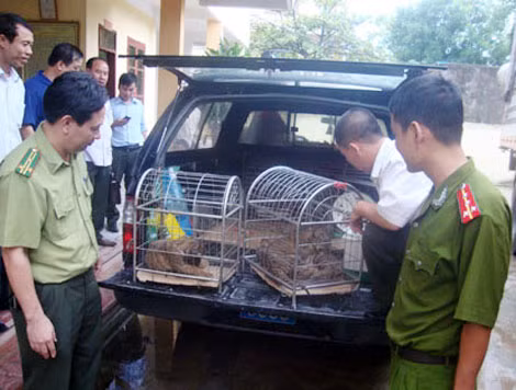 Tình trạng buôn bán trái pháp luật các loài động, thực vật hoang dã vẫn diễn biến phức tạp. ảnh: Công an nhân dân.