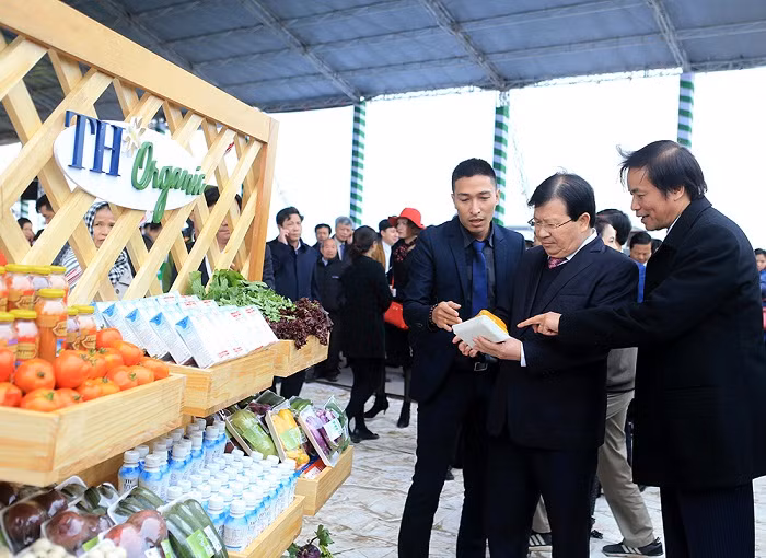 Muốn uống sữa tươi sạch, người tiêu dùng phải biết đến "3 không" ảnh 6