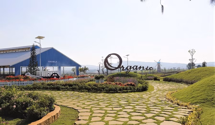 Trang trại Organic Đà Lạt – trang trại bò sữa Organic tiêu chuẩn châu Âu đầu tiên tại Việt Nam. Trang trại Organic Đà Lạt – trang trại bò sữa Organic tiêu chuẩn châu Âu đầu tiên tại Việt Nam.