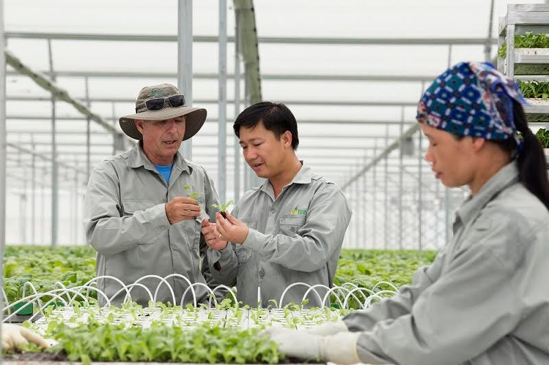 Các sản phẩm nông nghiệp sạch của Tập đoàn Vingroup được người tiêu dùng cả nước tin tưởng. ảnh: vineco. Các sản phẩm nông nghiệp sạch của Tập đoàn Vingroup được người tiêu dùng cả nước tin tưởng. ảnh: vineco.