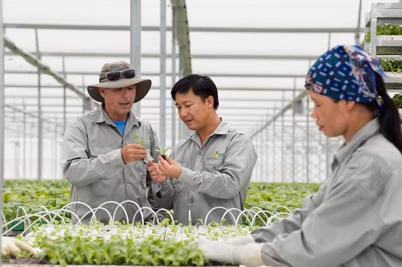 Các sản phẩm nông nghiệp sạch của Tập đoàn Vingroup được người tiêu dùng cả nước tin tưởng. ảnh: vineco. Các sản phẩm nông nghiệp sạch của Tập đoàn Vingroup được người tiêu dùng cả nước tin tưởng. ảnh: vineco.