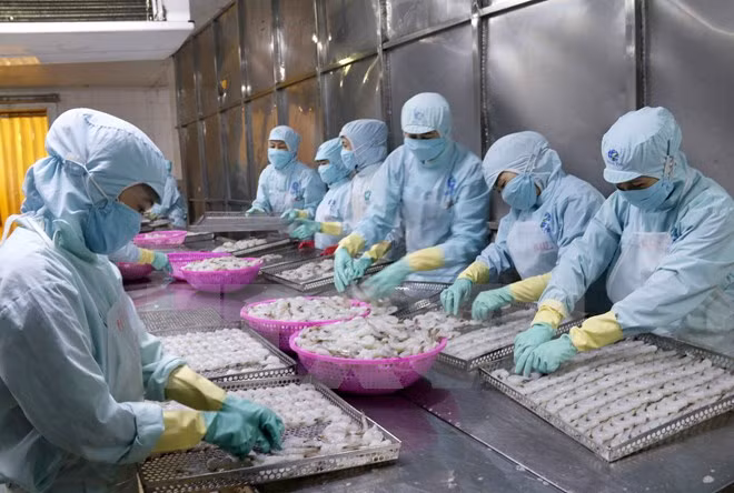 Đến 2020 giá trị gia tăng của các mặt hàng nông sản, thủy sản xuất khẩu chủ lực tăng bình quân 20% so với hiện nay. ảnh:TTXVN.
