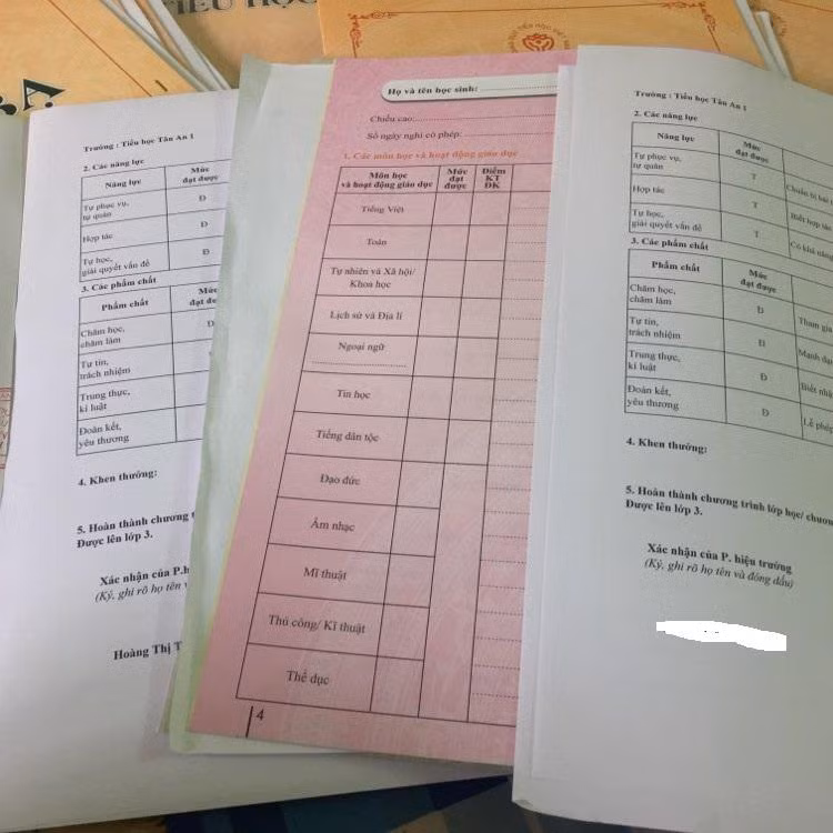 Nhiều địa phương vẫn sử dụng đồng thời học bạ điện tử và học bạ giấy. Ảnh minh họa: giaoduc.net.vn