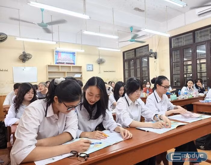 Học sinh Hải Phòng tăng tốc ôn thi (Ảnh Phạm Linh) Học sinh Hải Phòng tăng tốc ôn thi (Ảnh Phạm Linh)