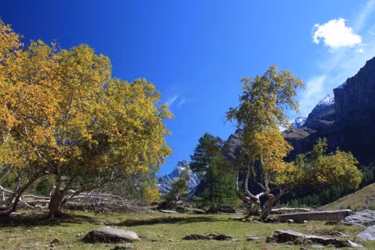 Khu bảo tồn thiên nhiên Ristolas Mont-Viso nằm trên dãy Alpes (biên giới Pháp và Italia), sở hữu vẻ đẹp vô cùng hoang sơ. Khu bảo tồn thiên nhiên Ristolas Mont-Viso nằm trên dãy Alpes (biên giới Pháp và Italia), sở hữu vẻ đẹp vô cùng hoang sơ.
