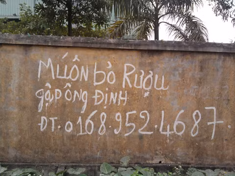 Dịch vụ mới.