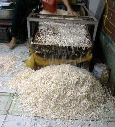 Làm giá ăn bằng hóa chất