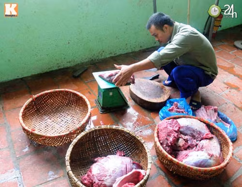 Bí mật nghề nuôi hổ, Tin tức trong ngày, ho, nghe nuoi ho, ho binh duong, ho dong duong,lam nhi, cong vien thu le...