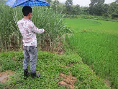 Nơi được cho là đã xảy ra vụ hãm hiếp