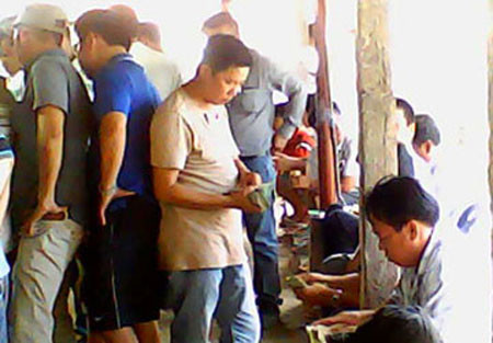 Một ngày ở trường gà cầu Ván, Tin tức trong ngày, 