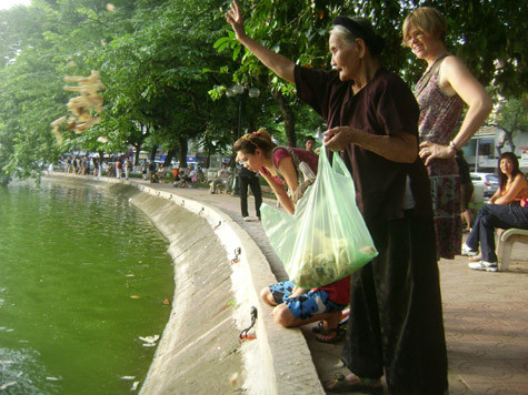 "Nghề" lạ khiến nhiều người tò mò