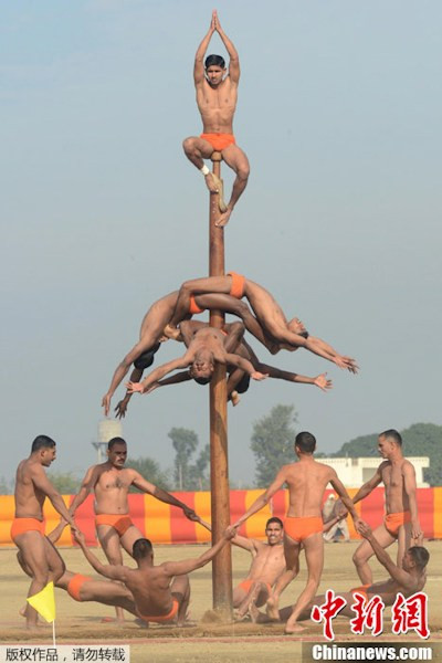 Tạo hình với cột