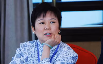 Lý Tiểu Lâm, con gái cố Chủ tịch nước Trung Quốc Lý Tiên Niệm, người được Kyodo cho là bạn thân của ông Tập Cận Bình Lý Tiểu Lâm, con gái cố Chủ tịch nước Trung Quốc Lý Tiên Niệm, người được Kyodo cho là bạn thân của ông Tập Cận Bình