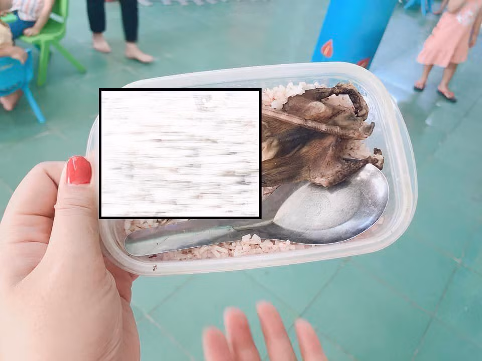 Bức ảnh bữa cơm trắng với thịt chuột được chế biến sơ sài trên mạng xã hội được cho là của học sinh vùng cao Nam Giang khiến cơ quan chức năng phải vào cuộc, xác minh. (Ảnh trên mạng xã hội). Bức ảnh bữa cơm trắng với thịt chuột được chế biến sơ sài trên mạng xã hội được cho là của học sinh vùng cao Nam Giang khiến cơ quan chức năng phải vào cuộc, xác minh. (Ảnh trên mạng xã hội).