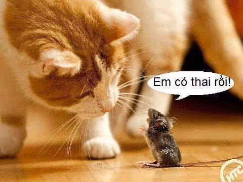 Thế nào là cảm giác sốc?