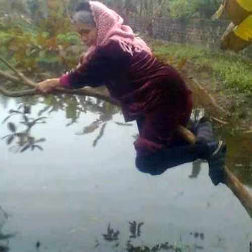 Gừng càng già càng cay. Gừng càng già càng cay.