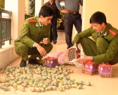 Số tang vật được cơ quan chức năng thu giữ