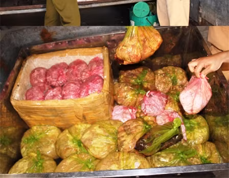 Số nội tạng bốc mùi bị thu giữ