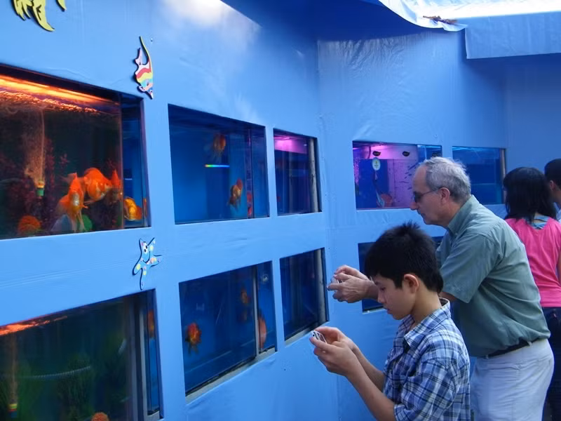 Nhiều người nước ngoài thích thú trước sự phong phú của sinh vật biển Việt Nam.