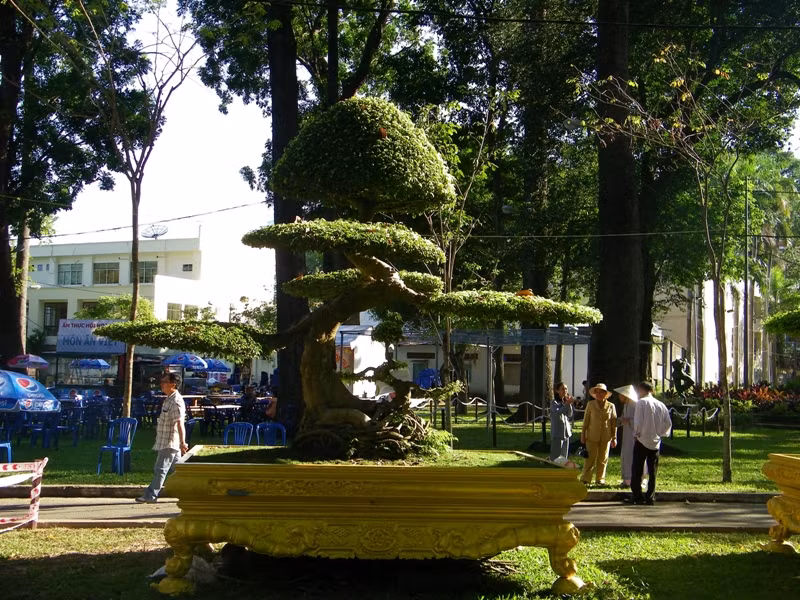 Có nhiều gốc bonsai cổ thụ, được tạo hình rất công phu.