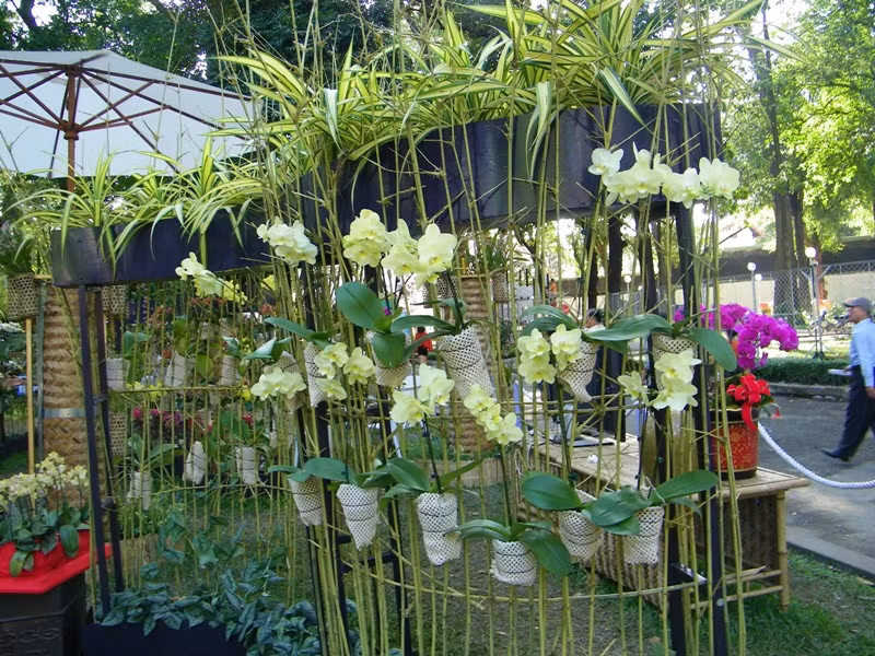 Lung linh sắc màu hoa lan tại Hội hoa xuân Tao Đàn.