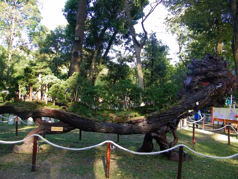 Có nhiều gốc bonsai cổ thụ, được tạo hình rất công phu.
