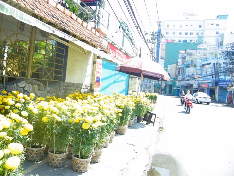 Từ 23 tháng chạp, TP.HCM có thời tiết thất thường, chợt nắng chợt mưa, khiến nhiều người lo lắng. Nhưng ngày hôm nay (29 âm lịch), thời tiết tại nơi đây rất ấm áp, xua đi cái rét nhè nhẹ của những ngày trước. Nắng xuân tràn ngập từng con đường, góc phố Sài thành… Dự đoán ngày đầu tiên của năm mới, thời tiết tại TP.HCM sẽ rất ấm áp.. Nắng, hoa ngập tràn một góc đường Lê Quang Định (Q. Gò Vấp). Từ 23 tháng chạp, TP.HCM có thời tiết thất thường, chợt nắng chợt mưa, khiến nhiều người lo lắng. Nhưng ngày hôm nay (29 âm lịch), thời tiết tại nơi đây rất ấm áp, xua đi cái rét nhè nhẹ của những ngày trước. Nắng xuân tràn ngập từng con đường, góc phố Sài thành… Dự đoán ngày đầu tiên của năm mới, thời tiết tại TP.HCM sẽ rất ấm áp.. Nắng, hoa ngập tràn một góc đường Lê Quang Định (Q. Gò Vấp).