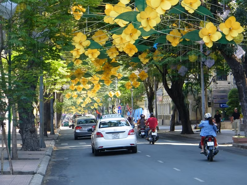 Con đường Đồng Khởi (Q1) được trang hoàng hoa mai vàng rực rỡ… Con đường Đồng Khởi (Q1) được trang hoàng hoa mai vàng rực rỡ…