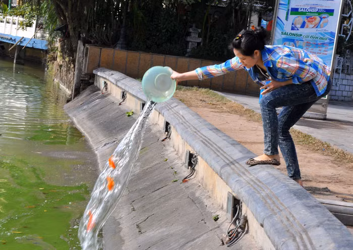 Người dân thả cá lác đác từ sớm và đông hơn từ lúc 10 giờ sáng trở đi.