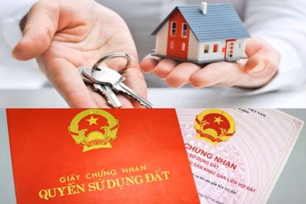 Bộ Tài nguyên 'dội nước lạnh' vào nỗ lực cải cách hành chính của Chính phủ ảnh 3