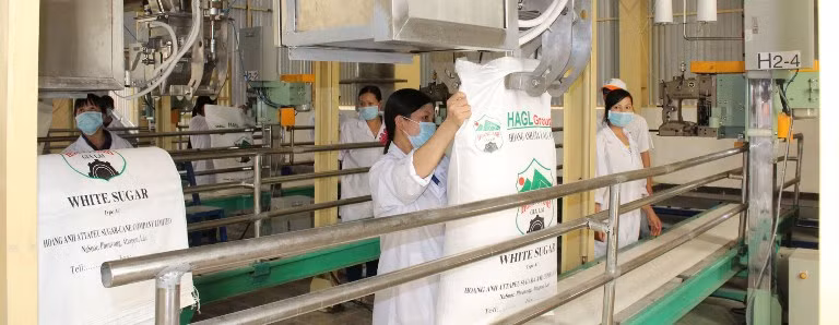 Hiệp hội Mía đường Việt Nam (VSSA) lo ngại việc HAGL bán 30.000 tấn đường thô cho Công ty CP Đường Biên Hòa sẽ ảnh hướng đến thị trường đường trong nước, khiến lượng đường tồn kho trong nước tăng lên Hiệp hội Mía đường Việt Nam (VSSA) lo ngại việc HAGL bán 30.000 tấn đường thô cho Công ty CP Đường Biên Hòa sẽ ảnh hướng đến thị trường đường trong nước, khiến lượng đường tồn kho trong nước tăng lên
