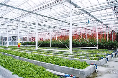 Bắc Kinh đầu tư cả hệ thống nhà kính trồng rau xanh phục vụ nhu cầu cho lực lượng hải quân chiếm đóng và đồn trú trái phép ở Trường Sa
