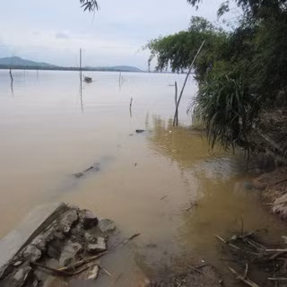 Đoạn kè dài hàng trăm mét bảo vệ cho làng Hoà Lam đã bị nước cuốn chìm dưới lòng sông. Đoạn kè dài hàng trăm mét bảo vệ cho làng Hoà Lam đã bị nước cuốn chìm dưới lòng sông.