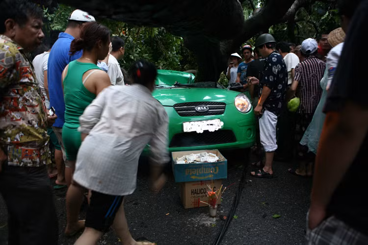 Một cành lớn của cây đã đè đúng phía lái xe ngồi. Một cành lớn của cây đã đè đúng phía lái xe ngồi.