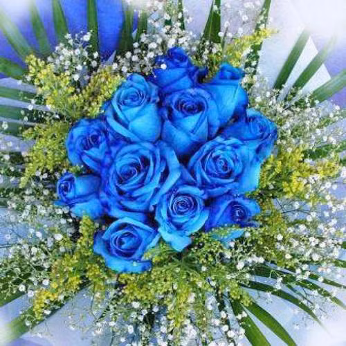 Hoa hồng xanh đang tạo nên cơn sốt trong mùa Valentine năm nay. Hoa hồng xanh đang tạo nên cơn sốt trong mùa Valentine năm nay.