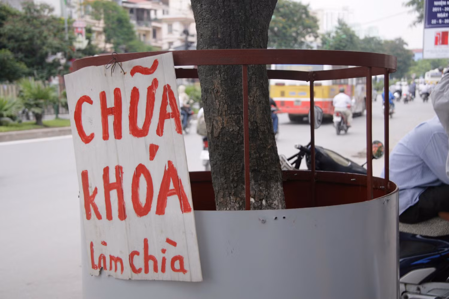 Để chống chọi với nạn sưa tặc, nhiều cây sưa trên đường Xuân Thủy, Hà Nội được bảo vệ theo phương pháp cực độc như thế này