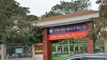 Dạy liên kết ngoại ngữ phải dạy như thế nào? ảnh 4