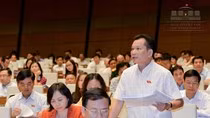 Xóa biên chế ở các trường đại học lớn thì dễ, bậc phổ thông cần thận trọng! ảnh 2