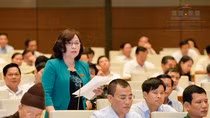 Tại sao đến bây giờ vẫn chưa có Luật Nhà giáo? ảnh 2 Tại sao đến bây giờ vẫn chưa có Luật Nhà giáo? ảnh 2