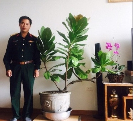 Cây bàng vuông luôn được anh Vũ Quang Tiệp dành tình cảm trân trọng (ảnh Trinh Phúc). Cây bàng vuông luôn được anh Vũ Quang Tiệp dành tình cảm trân trọng (ảnh Trinh Phúc).